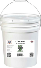 Load image into Gallery viewer, CAS - CoolAint Summerize